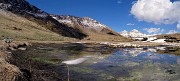 59 Ecco un bel laghetto in avanzato disgelo con pascoli che stanno rinverdendo cosparsi di Crocus vernus 